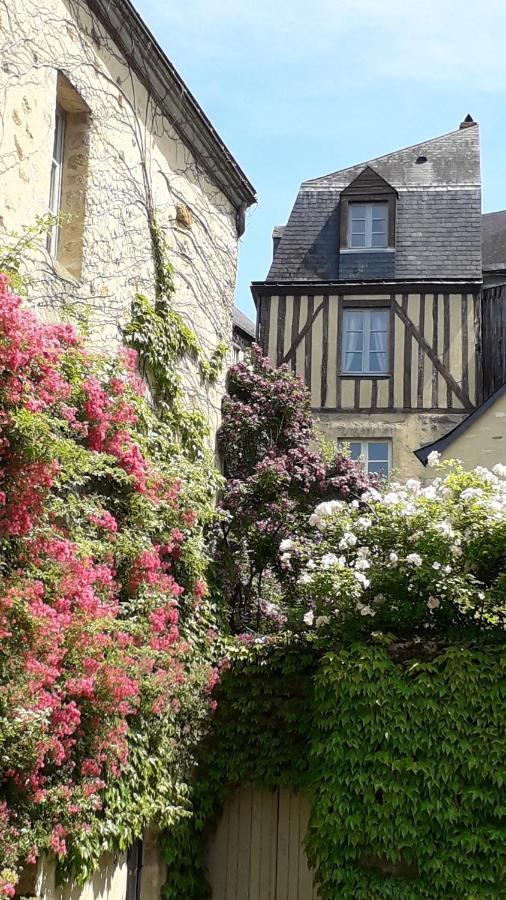 Petite Maison Romantique Au Calme, Coeur Historique Plantagenet, Vue Ville Le Mans Exteriör bild