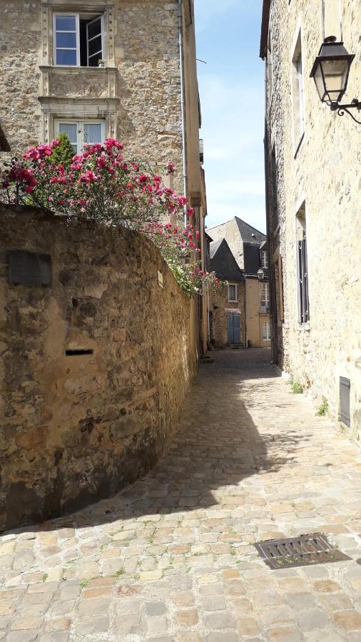 Petite Maison Romantique Au Calme, Coeur Historique Plantagenet, Vue Ville Le Mans Exteriör bild
